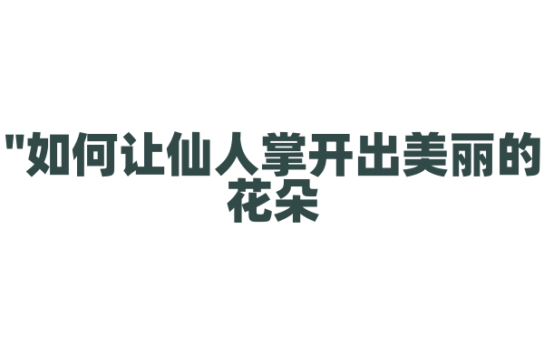 "如何让仙人掌开出美丽的花朵？"